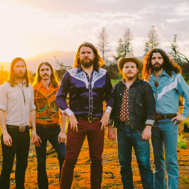 THE SHEEPDOGS